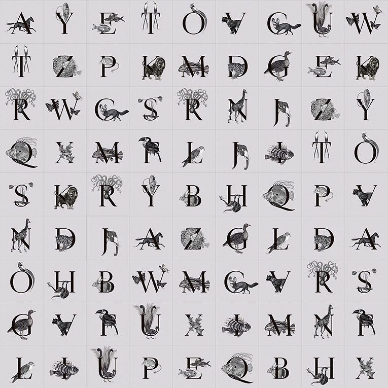 Display product Animal Codex from manufacturer Wall&decò