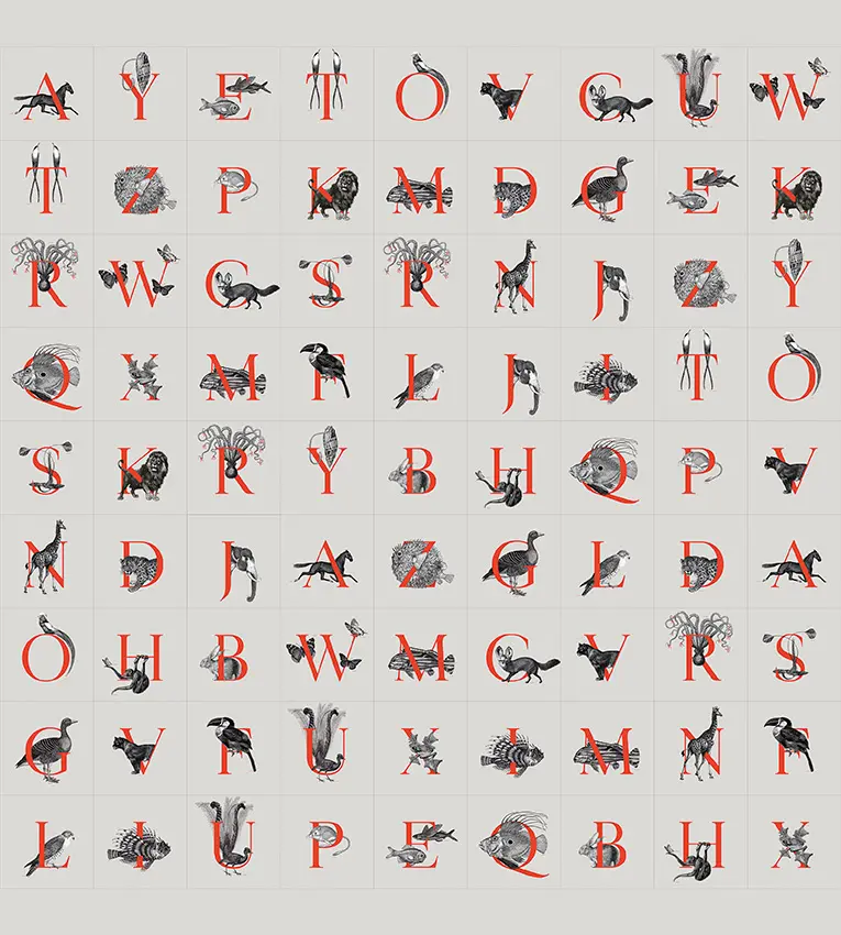 Wall&decò - Animal Codex