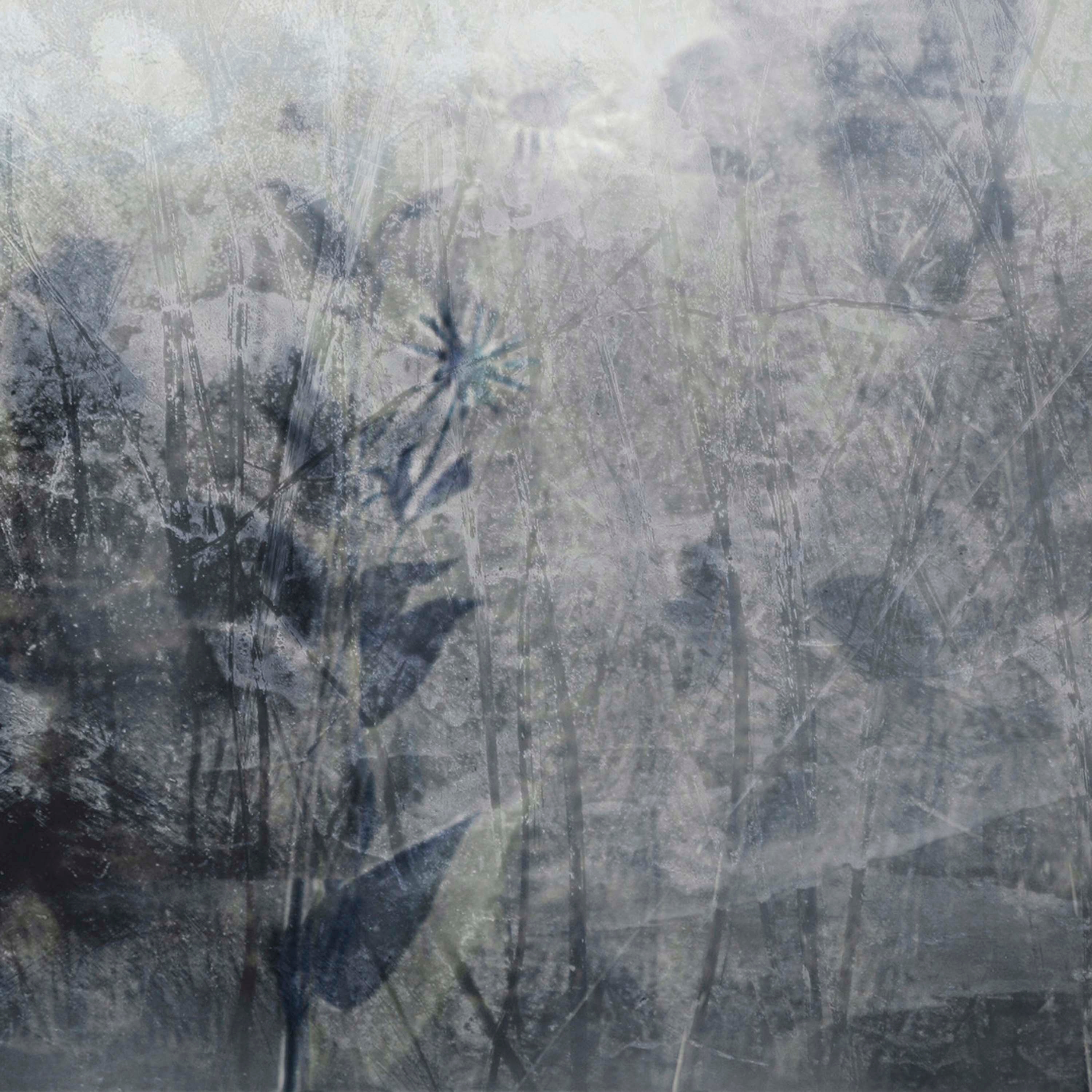 Afficher le produit Frozen nature du fabricant Wall&decò