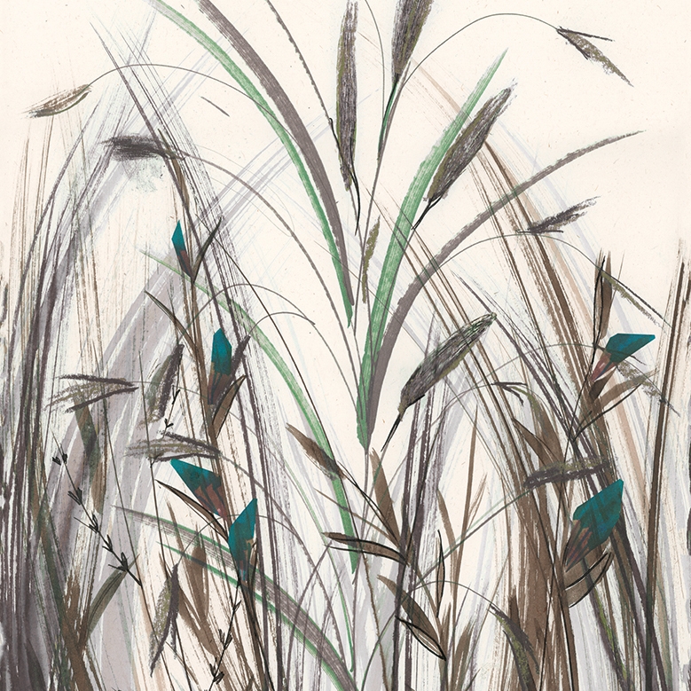Arundo