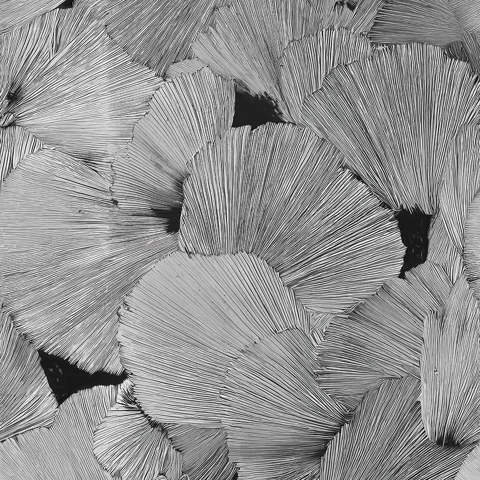Display product Eternal Beauty from manufacturer Wall&decò