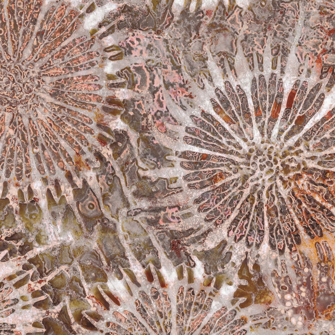 Produkt Paleocorals des Herstellers Wall&decò anzeigen