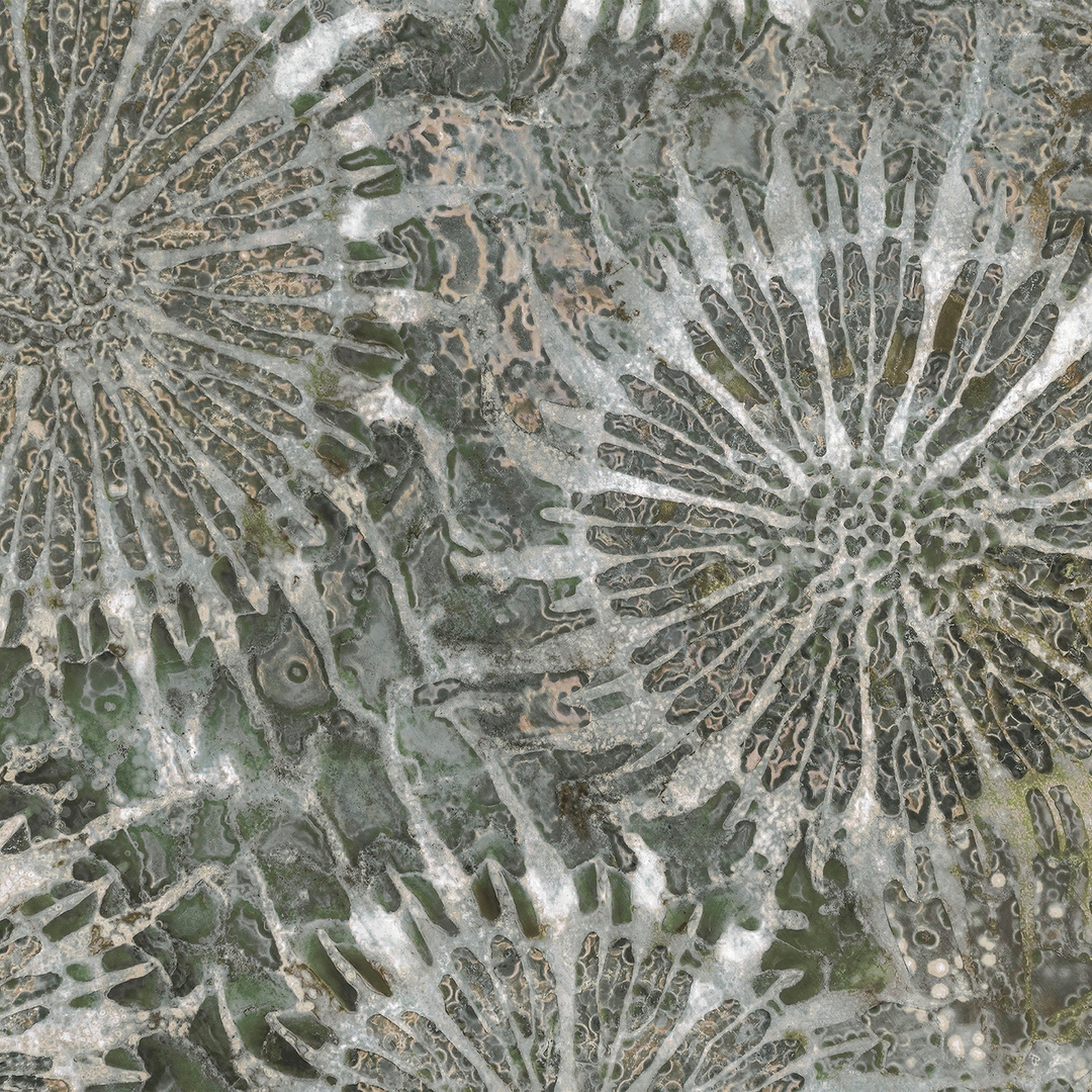 Paleocorals