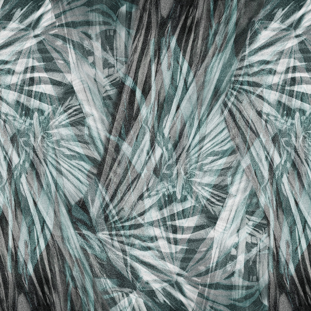 Licuri