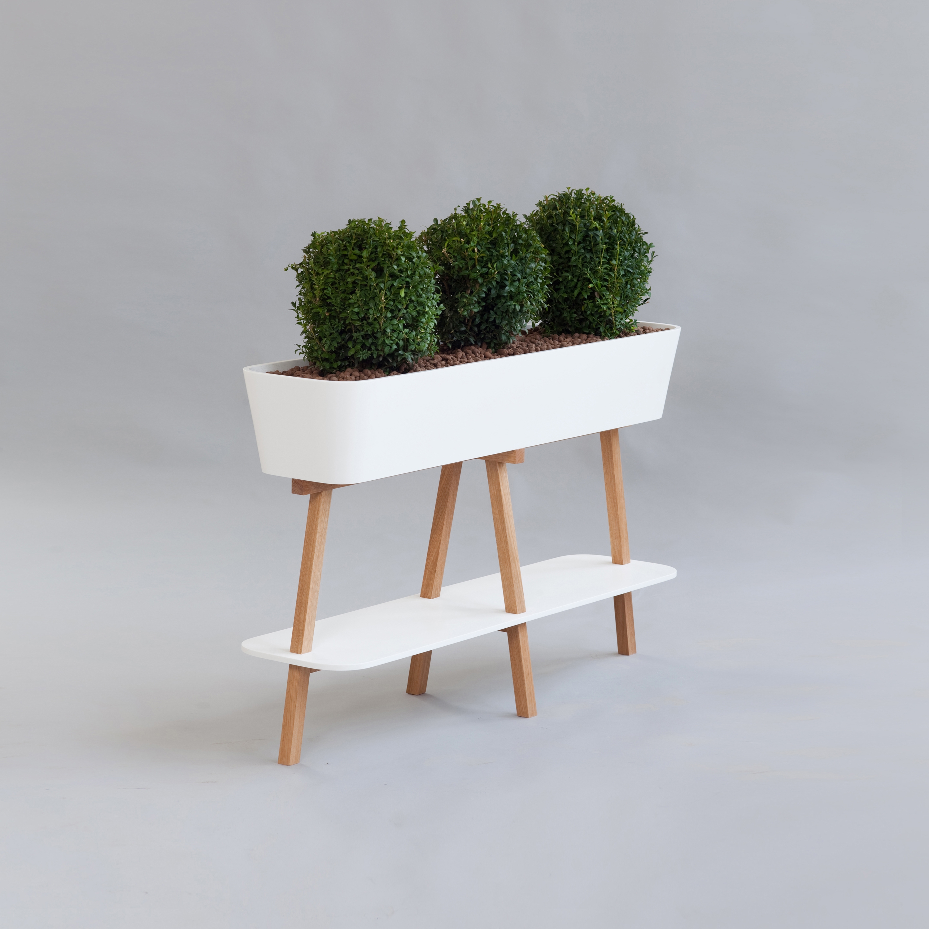 Afficher le produit Flowerlover du fabricant AMOS DESIGN