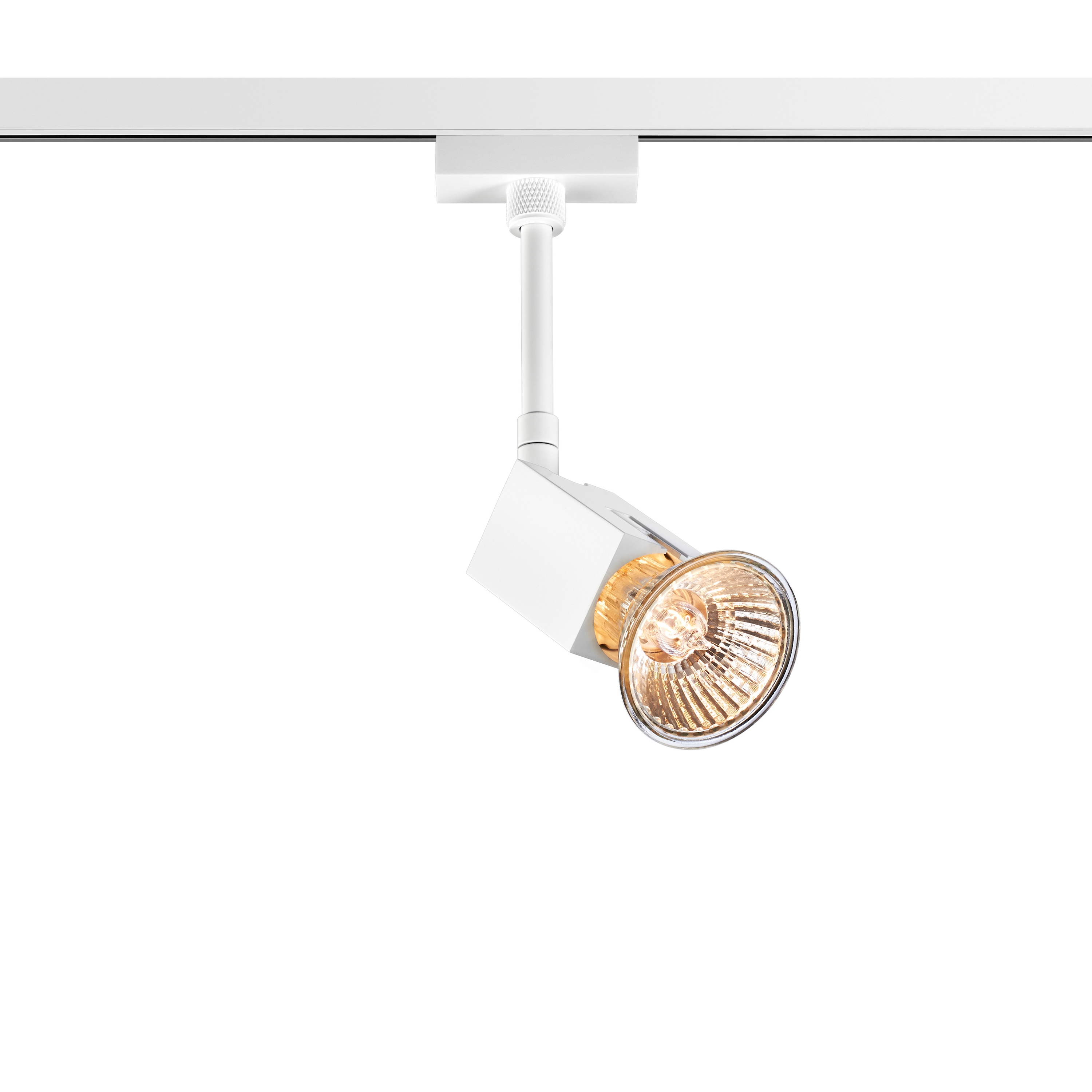 Mostrar el producto Scobo Spot SQ 2 DLR del fabricante BRUCK