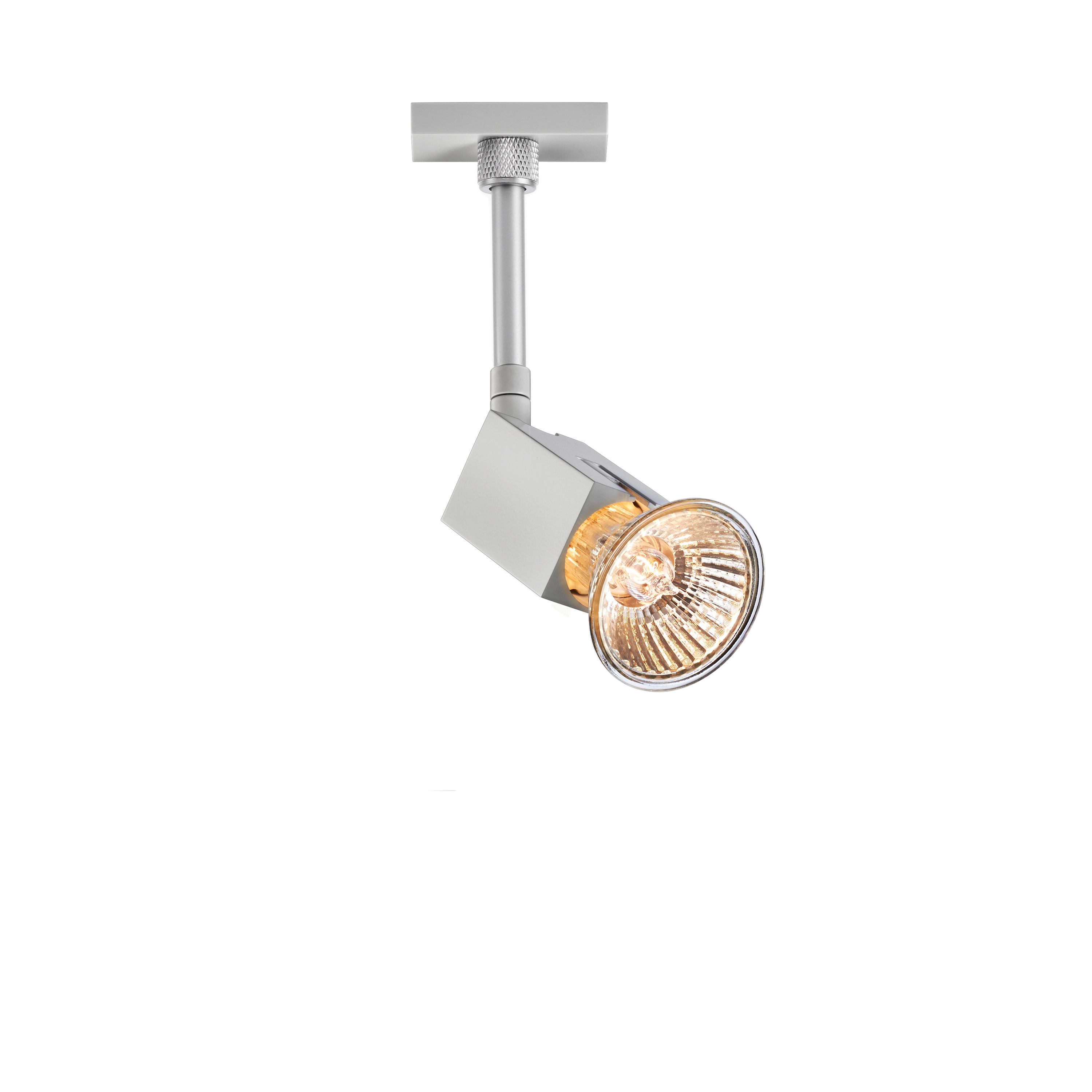 Mostrar el producto Scobo Spot SQ 2 DLR del fabricante BRUCK