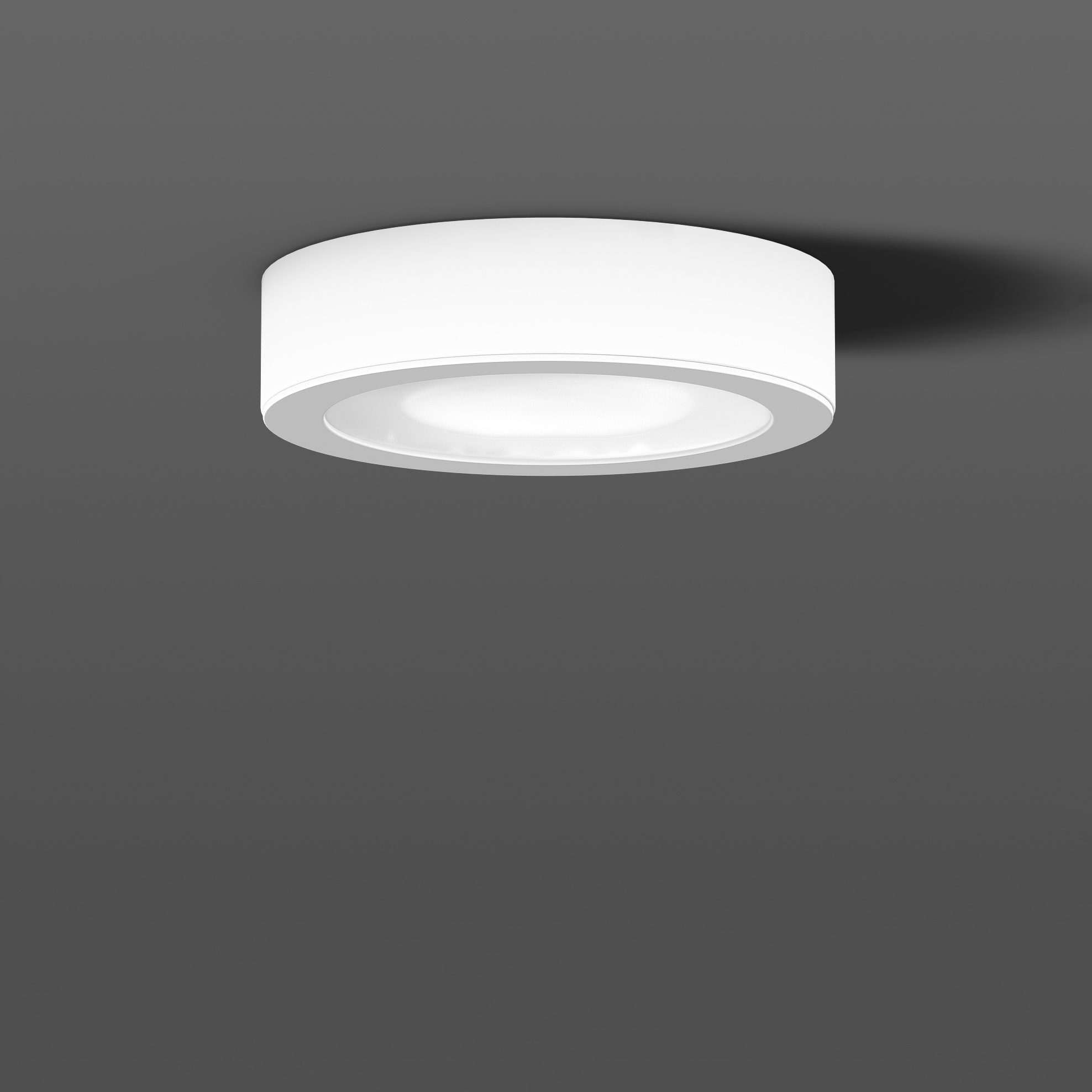 Afficher le produit Toledo Flat Surface mounted downlights du fabricant RZB - Leuchten