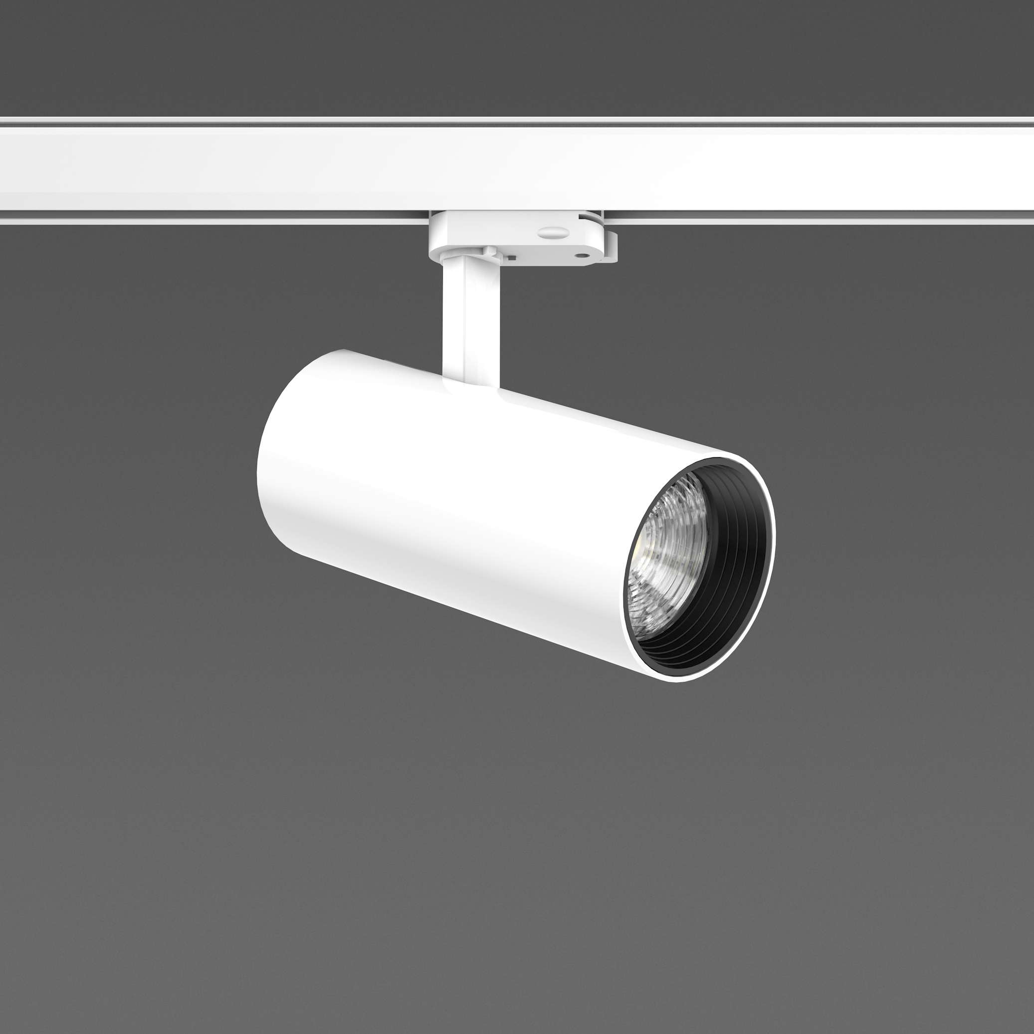Deecos S Mini Surface mounted projectors