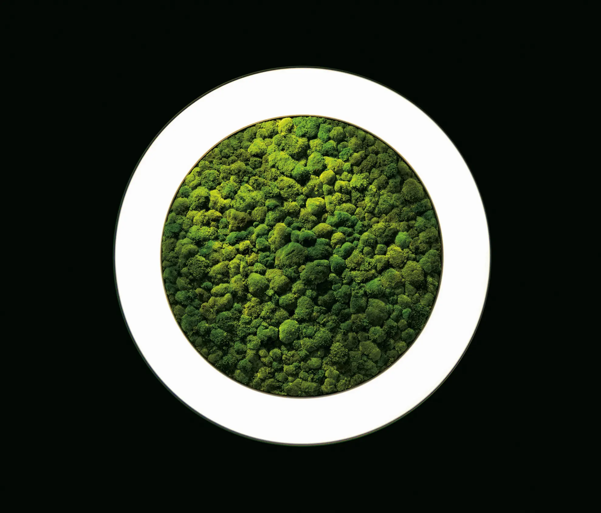 Sattler - Luce Verde Anello