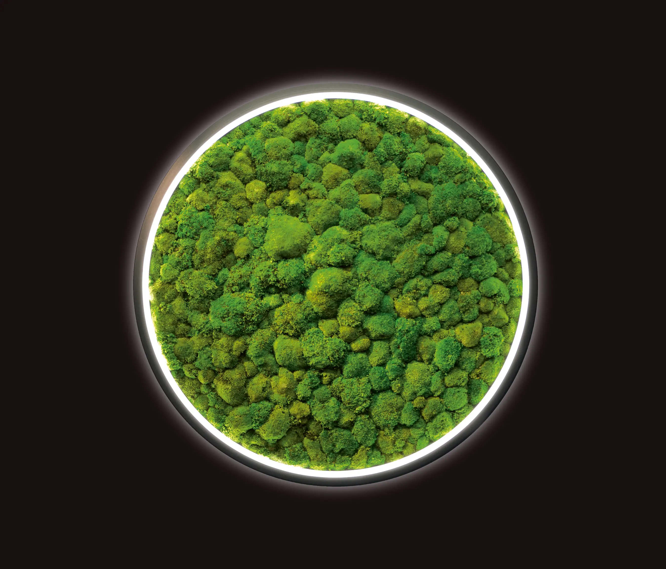 Sattler - Luce Verde Slim