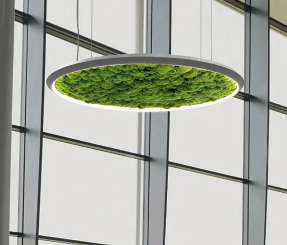 Sattler - Luce Verde Slim