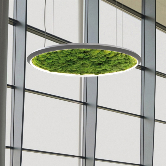 Mostrar el producto Luce Verde Slim del fabricante Sattler