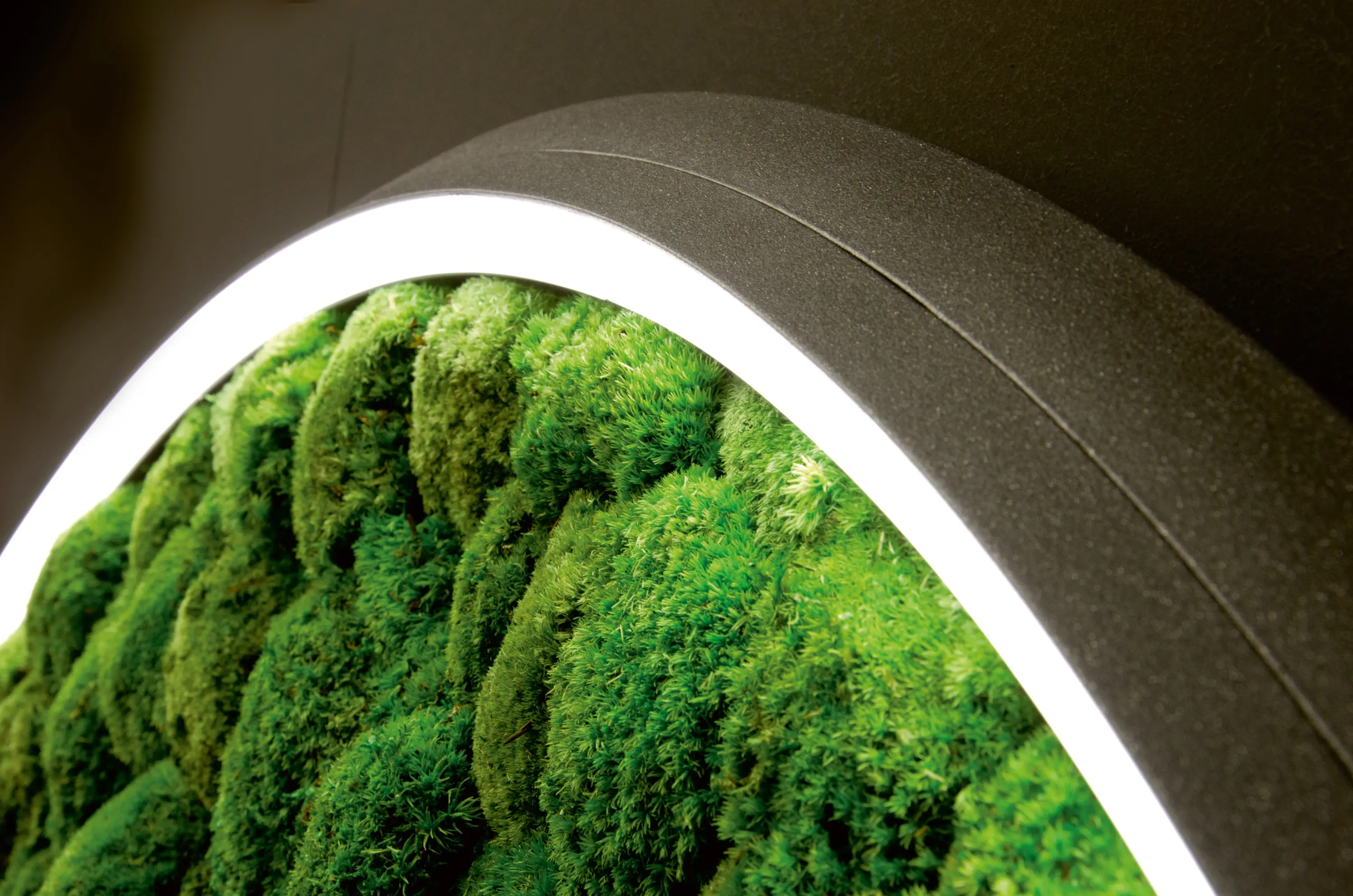 Sattler - Luce Verde Slim