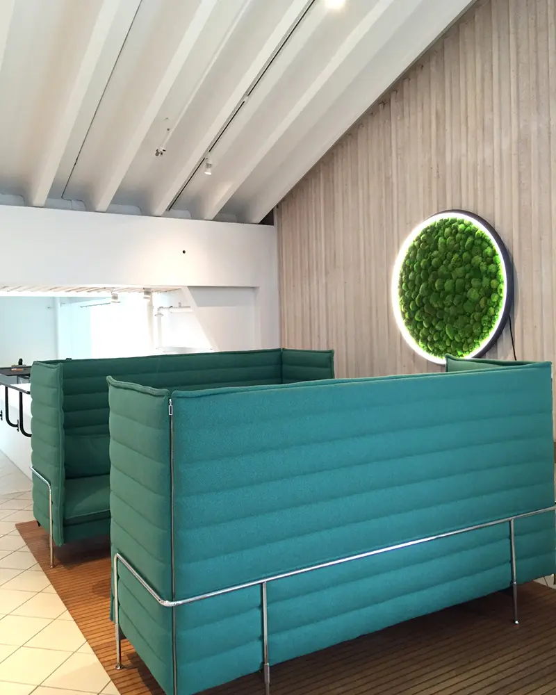 Sattler - Luce Verde Slim