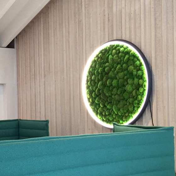 Mostra il prodotto Luce Verde Slim del produttore Sattler