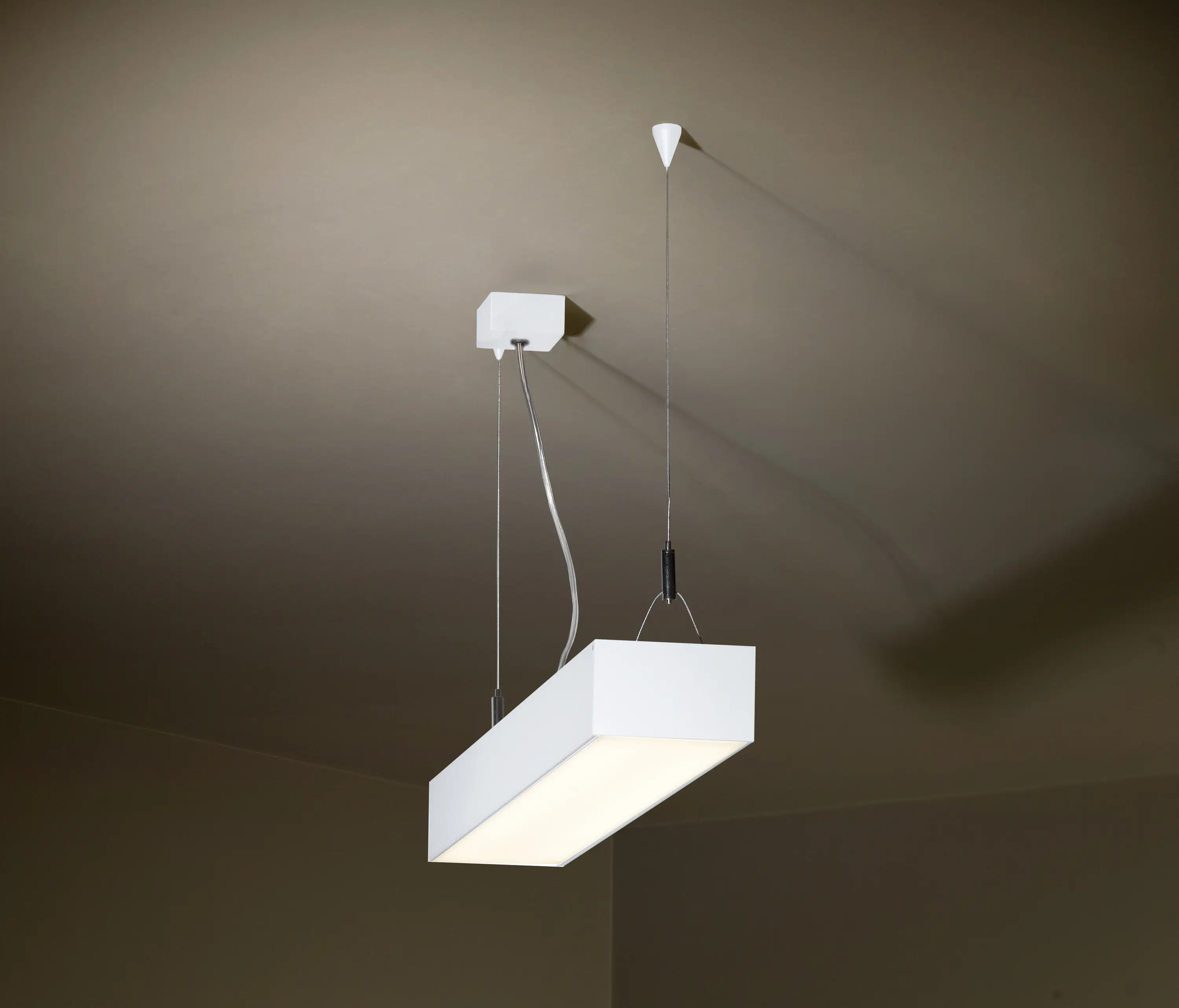 TAL - Boriti