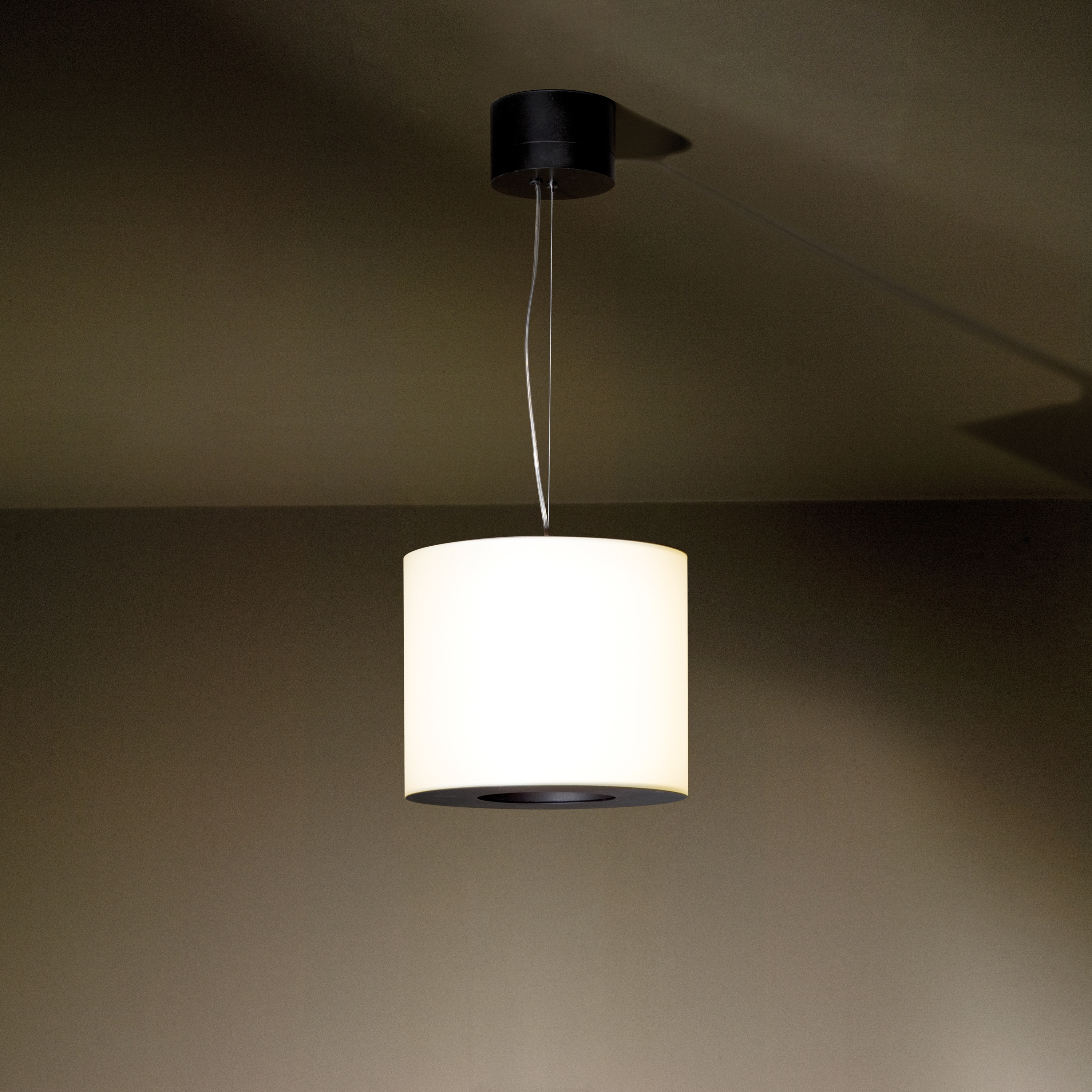 Produkt Candy suspended des Herstellers TAL anzeigen