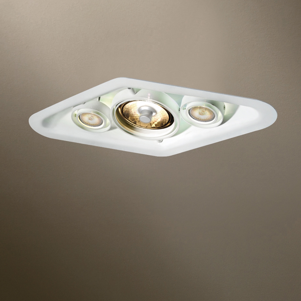 Display product Cayley Combi HI-PAR111/2 HI-PAR51 from manufacturer TAL