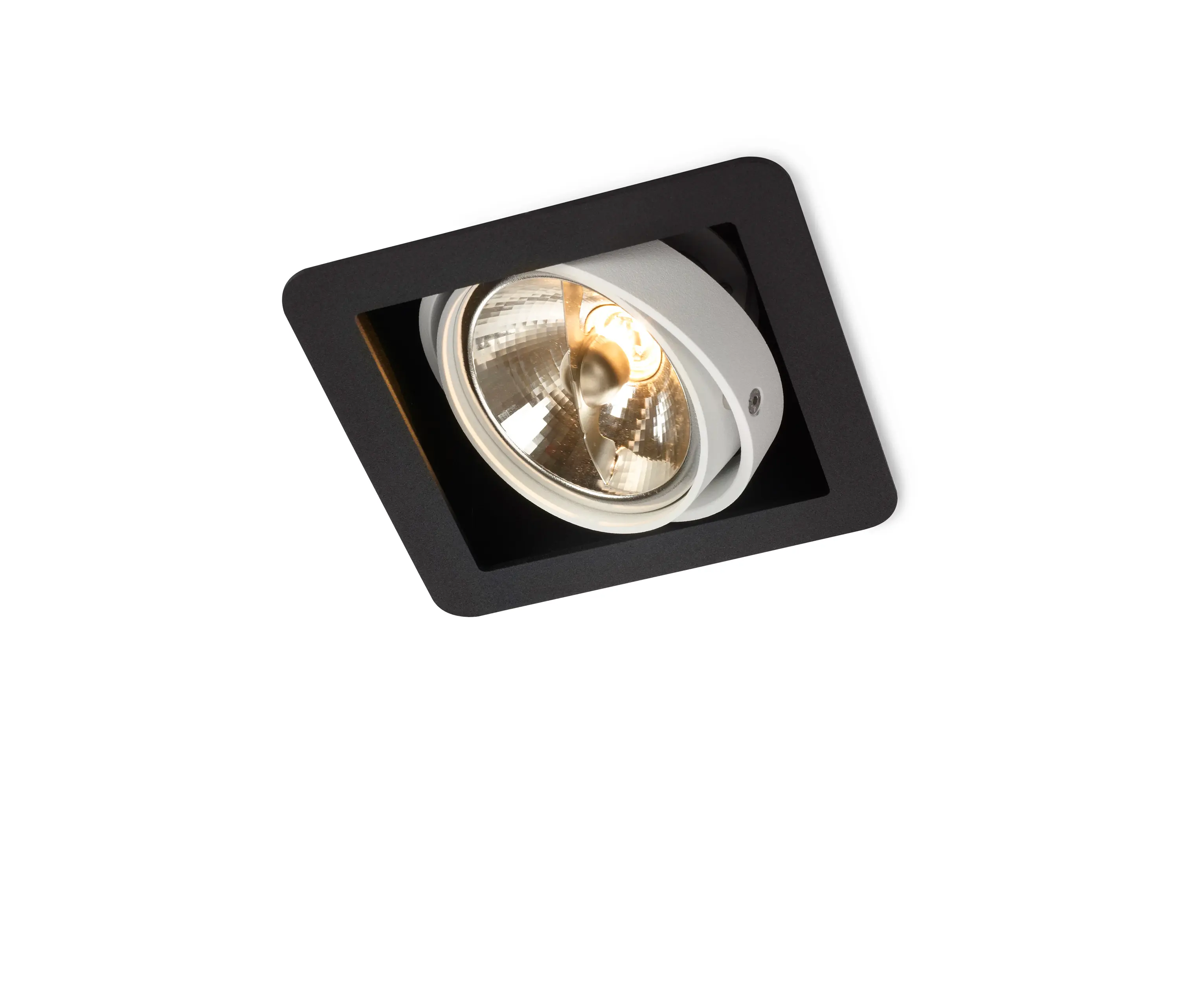 Trizo21 - R07 IN