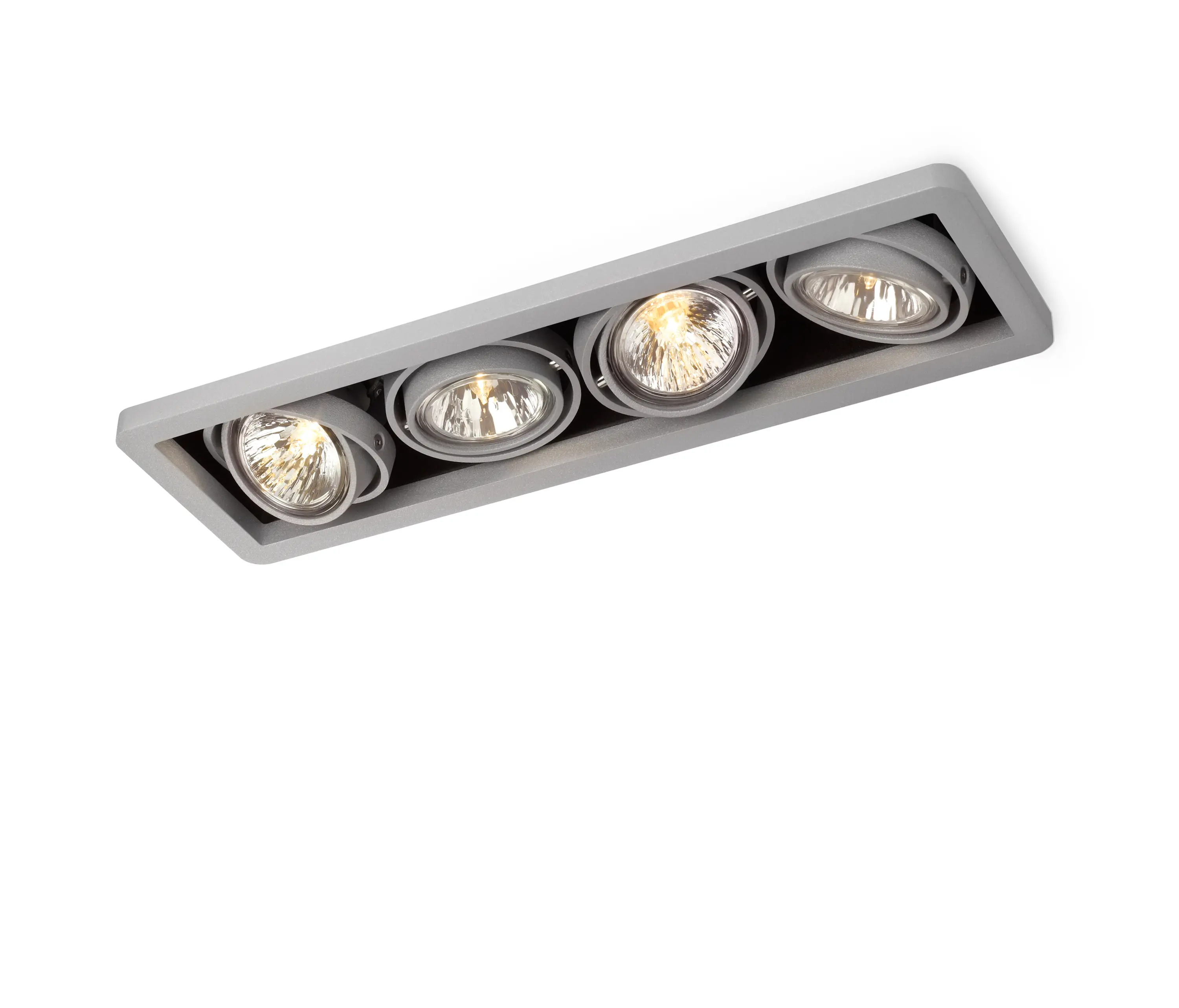 Trizo21 - R54 IN