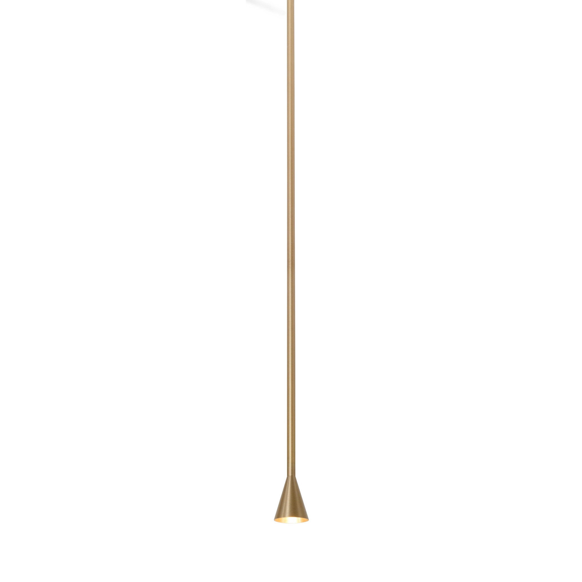 Display product Austere-Solitaire RF from manufacturer Trizo21