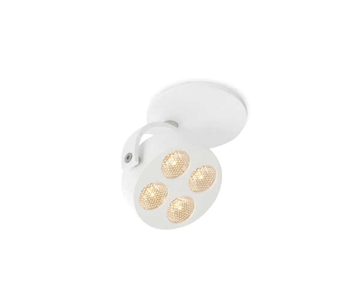 Trizo21 - Mini-Pi 1 in