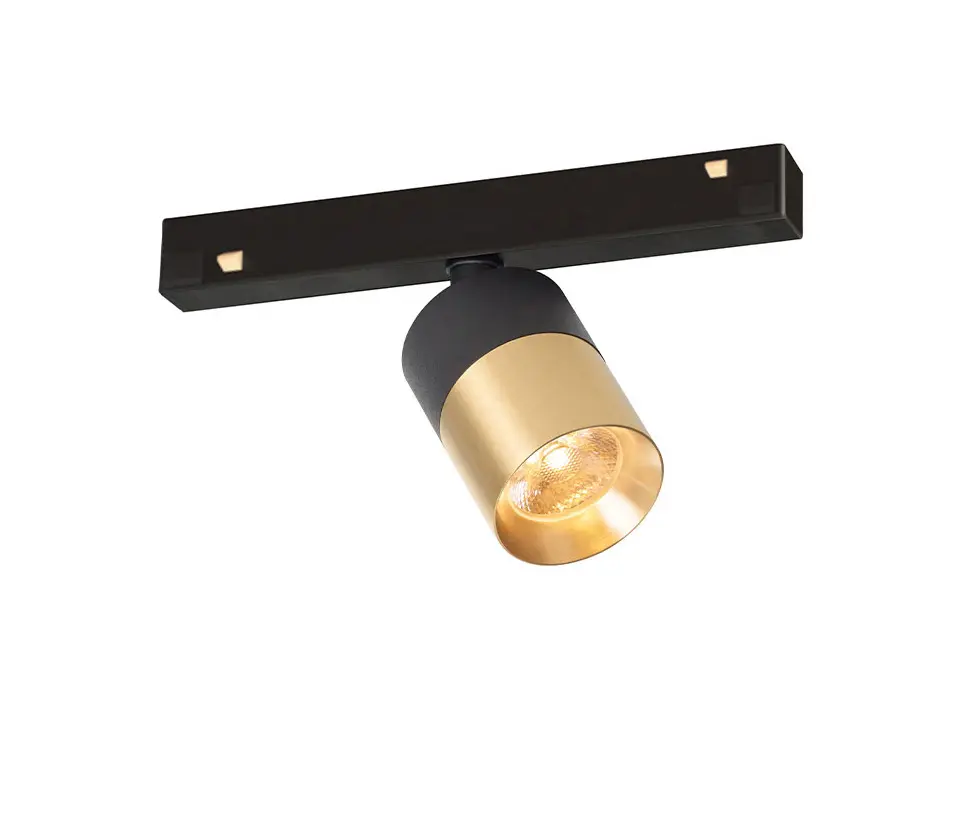 Trizo21 - Audette-Duo Track 48V