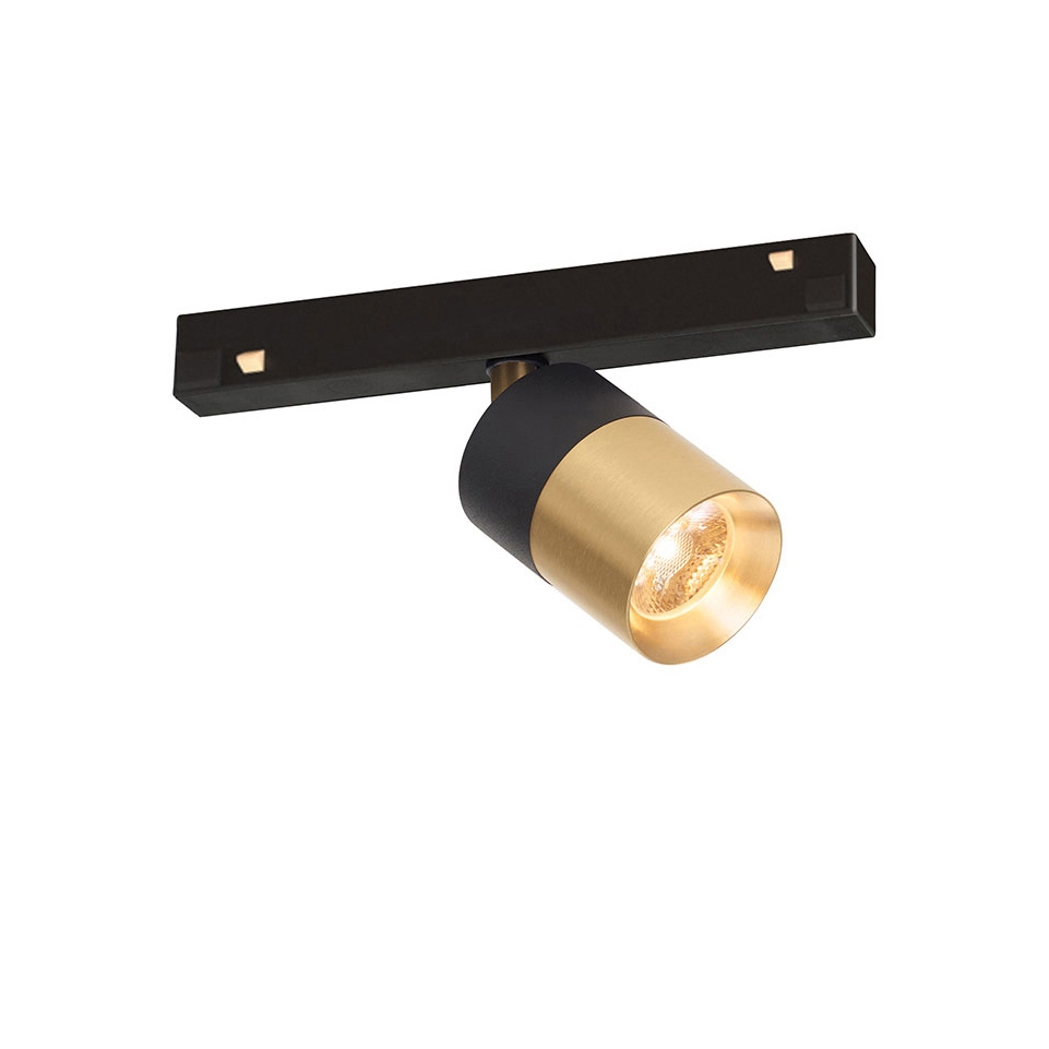 Audette-Duo Track 48V