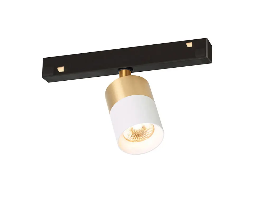 Trizo21 - Audette-Duo Track 48V