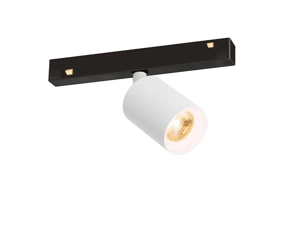 Trizo21 - Audette Track 48V