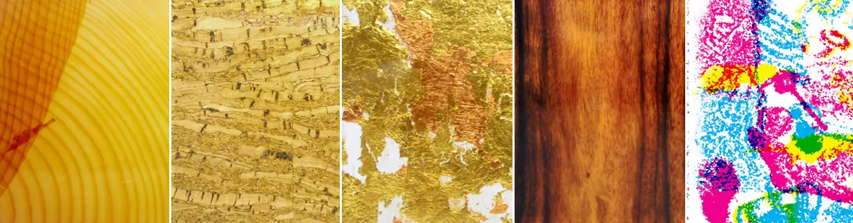 Gallery slide image
