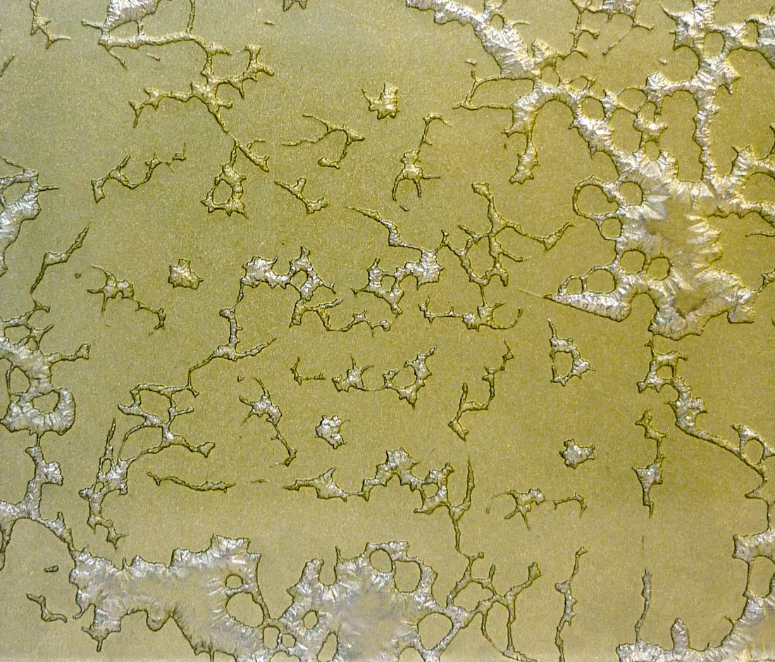 Conglomerate - Goldsmith | Metallic Champagne