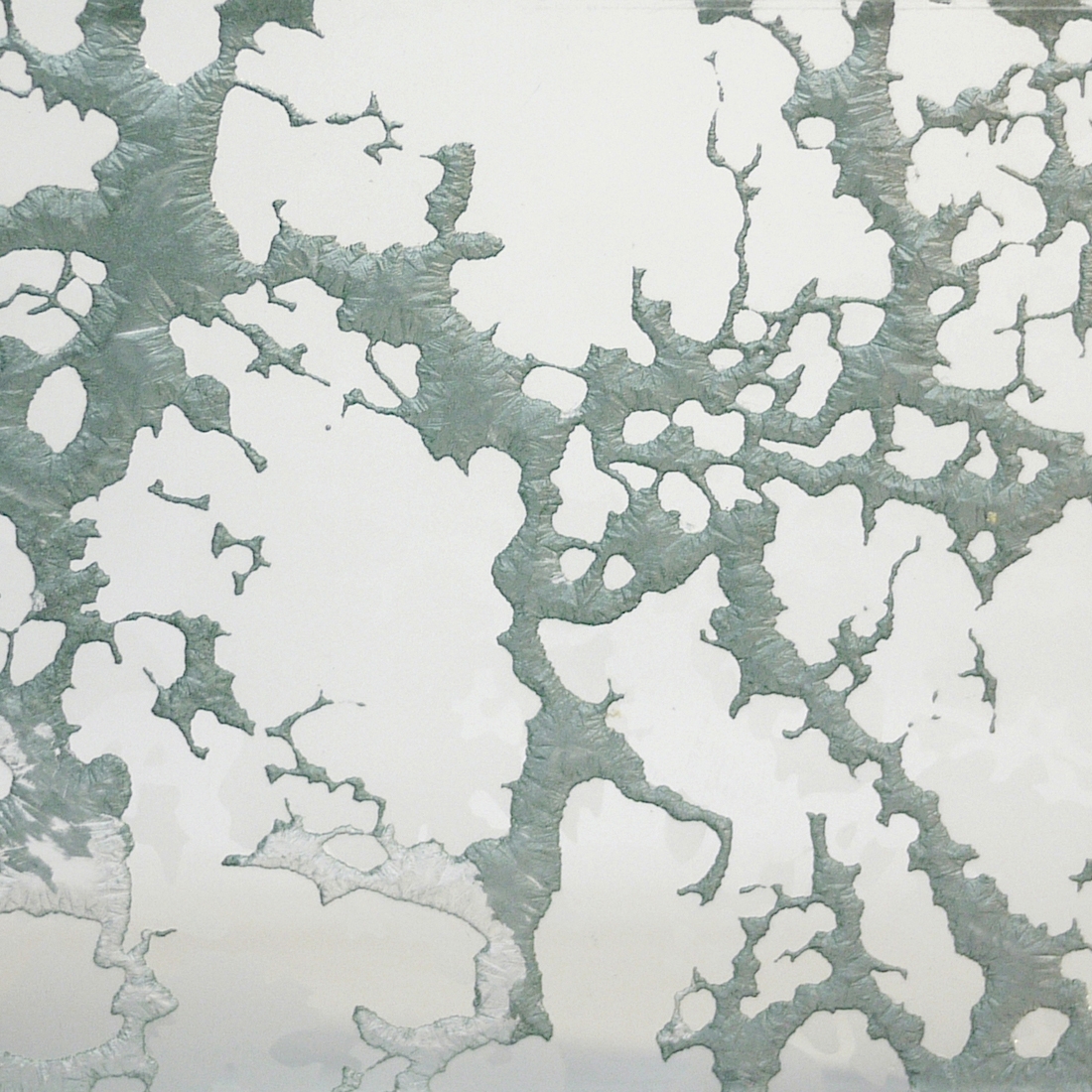 Mostra il prodotto Goldsmith | Metallic Silver del produttore Conglomerate
