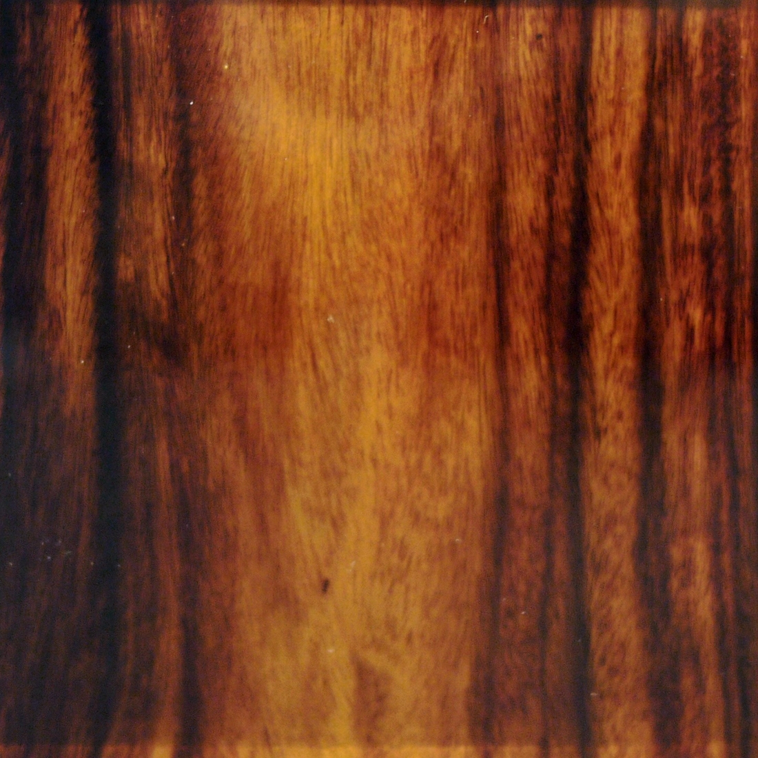 Mostra il prodotto Glasswood | Rosewood del produttore Conglomerate