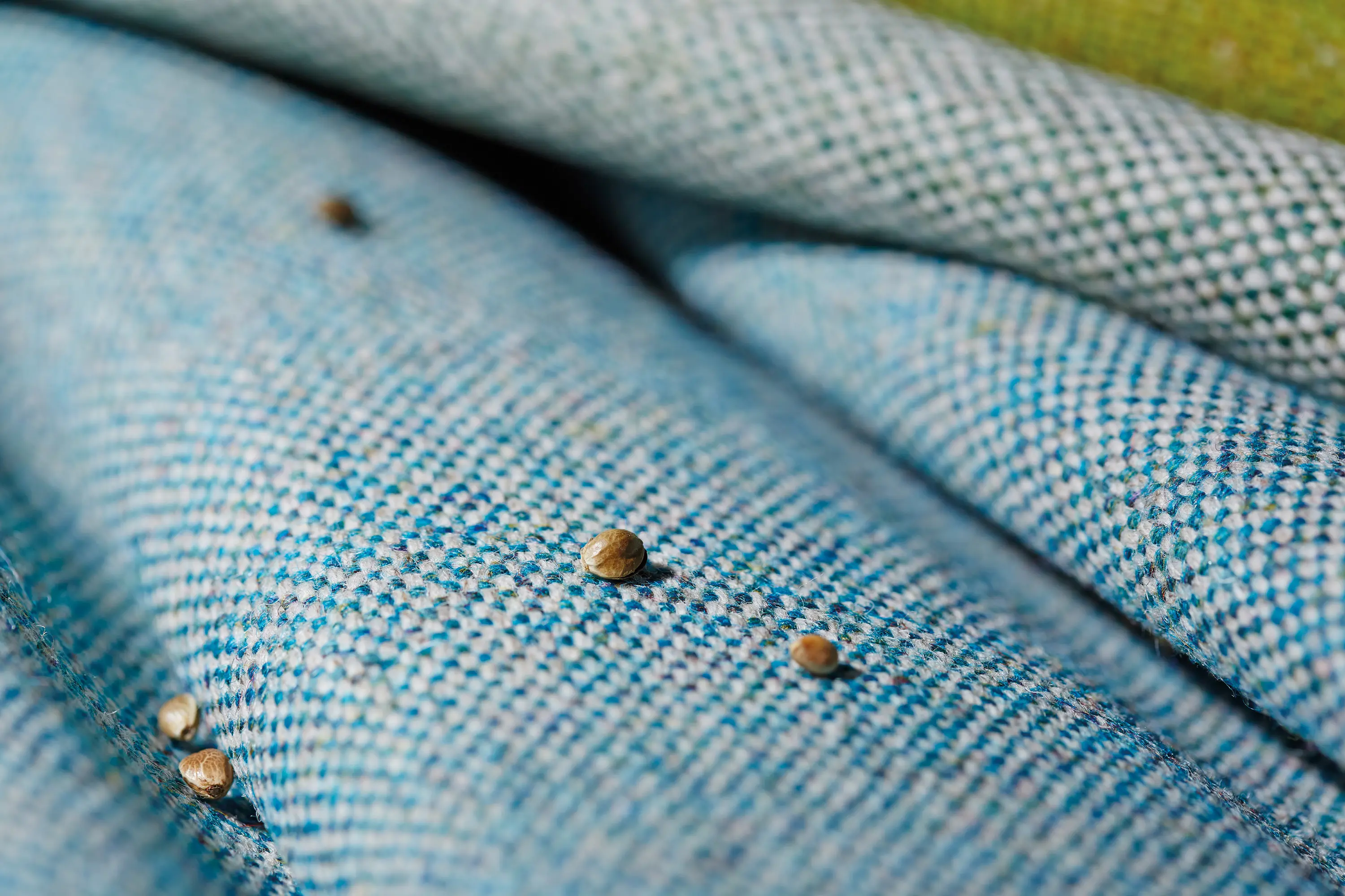 Camira Fabrics - Main Line Flax Newbury