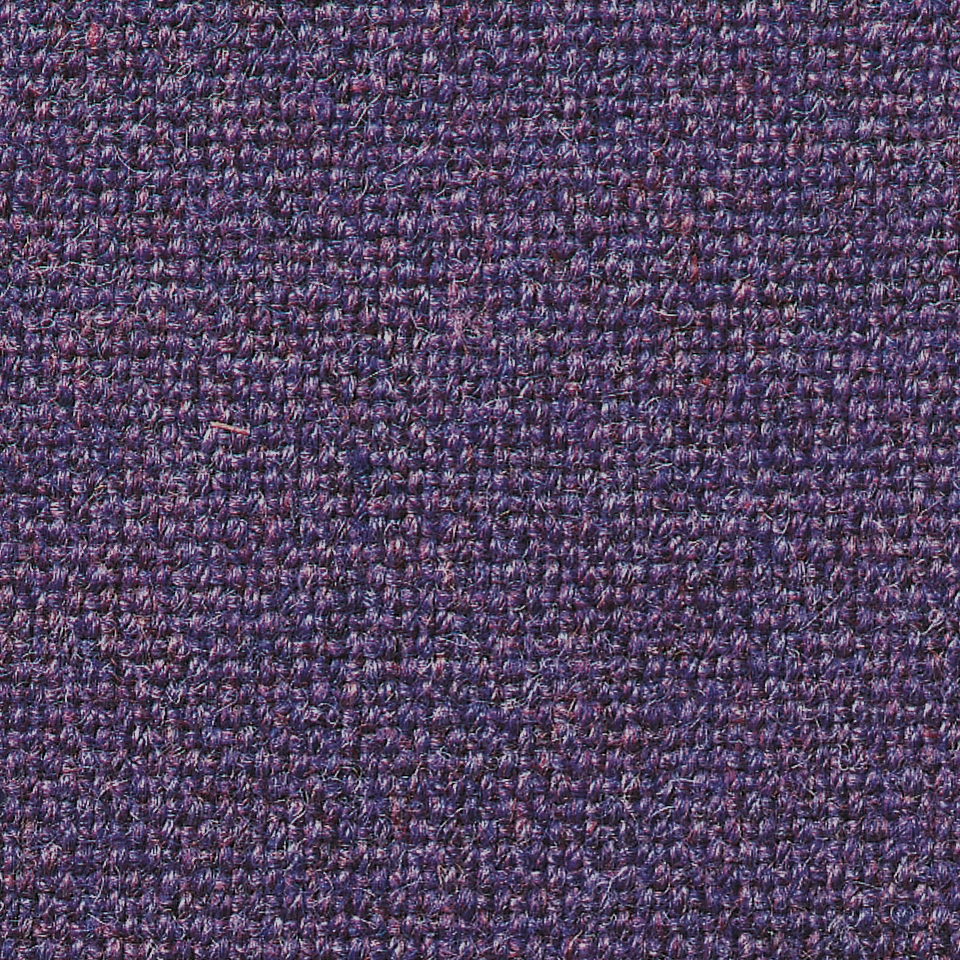 Main Line Plus Penstemon