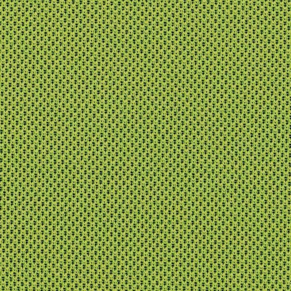 Nexus Kiwi