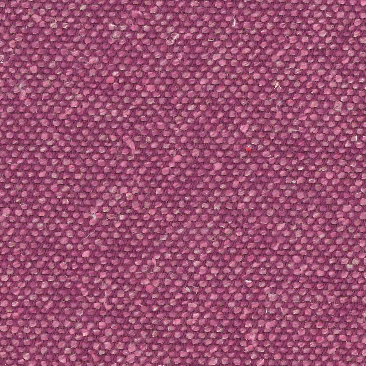 Silk Forbidden