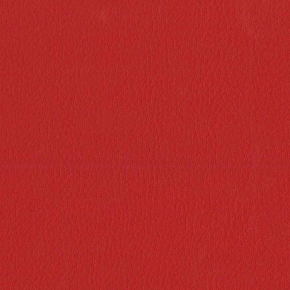 Vita Tomato