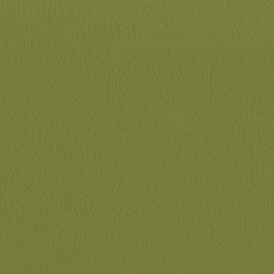 Vita Olive