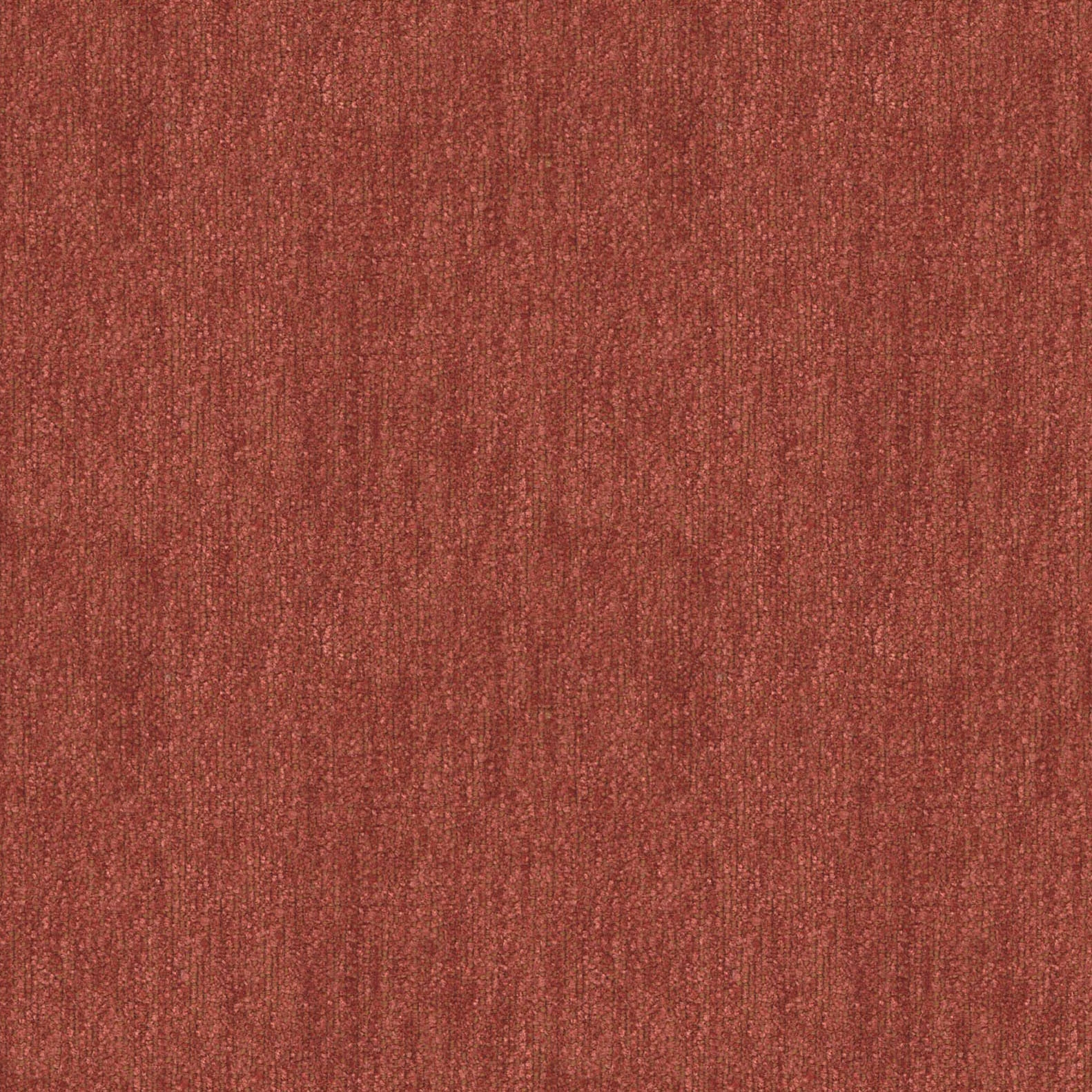 Track Clue