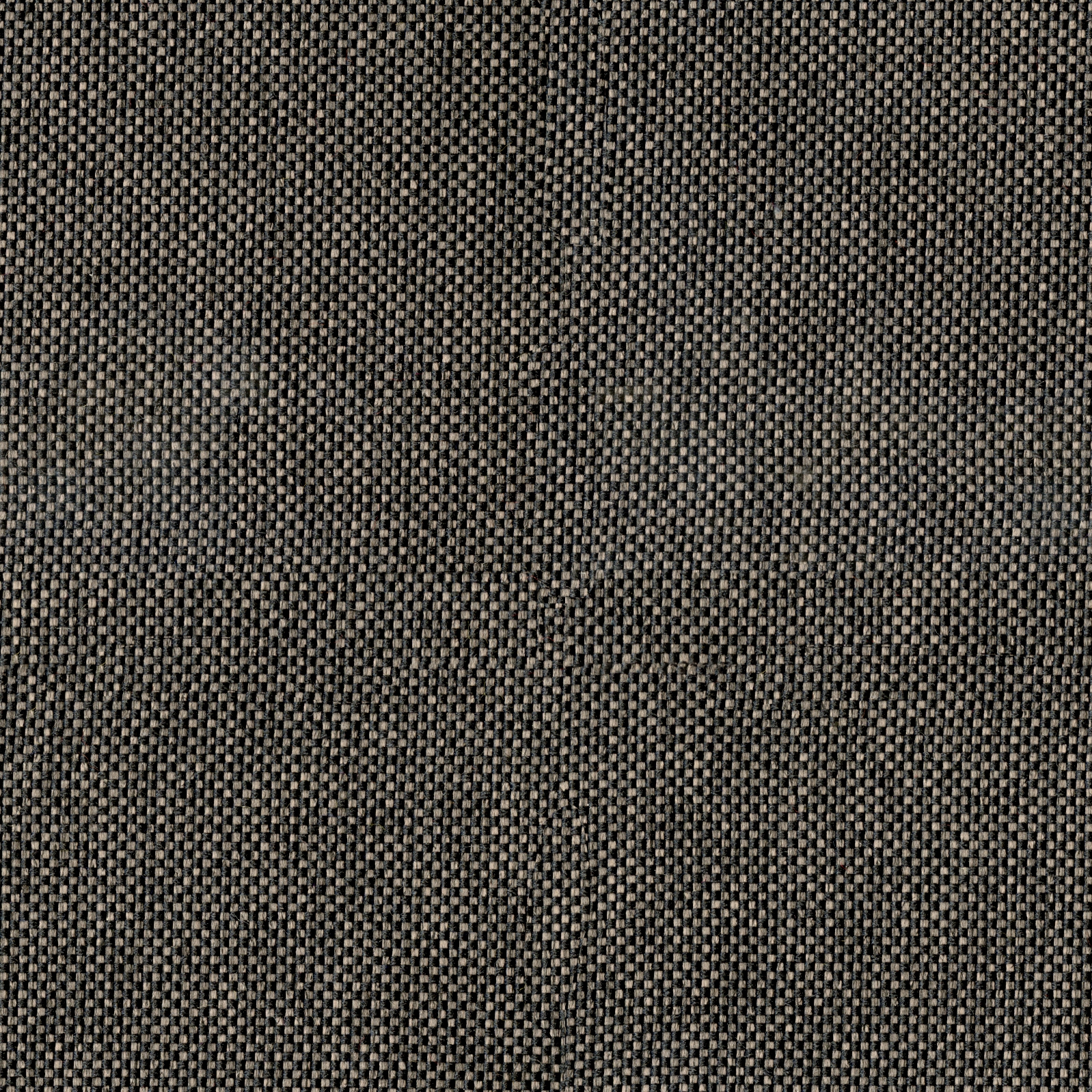 Rivet Otter