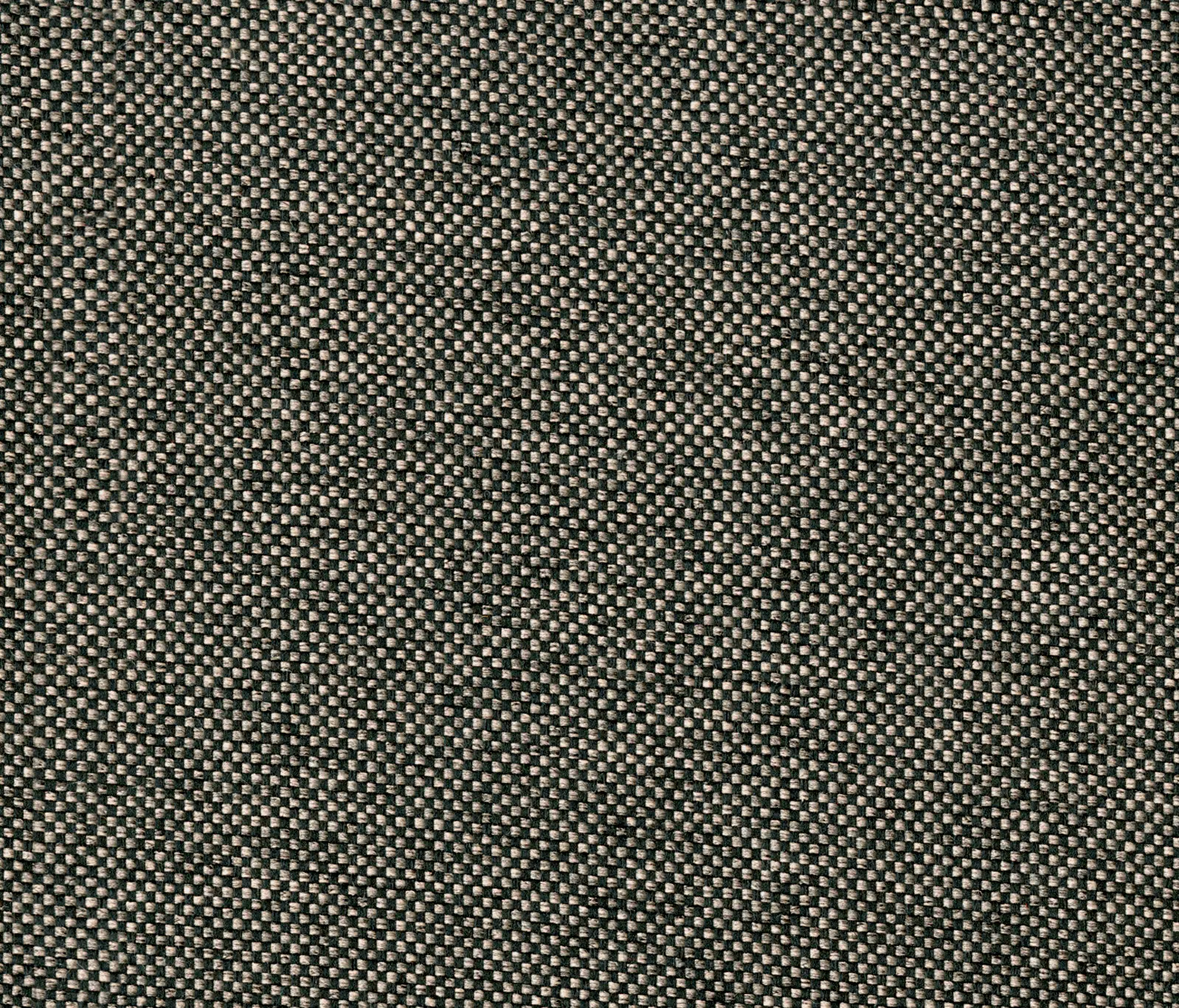 Camira Fabrics - Rivet Twig