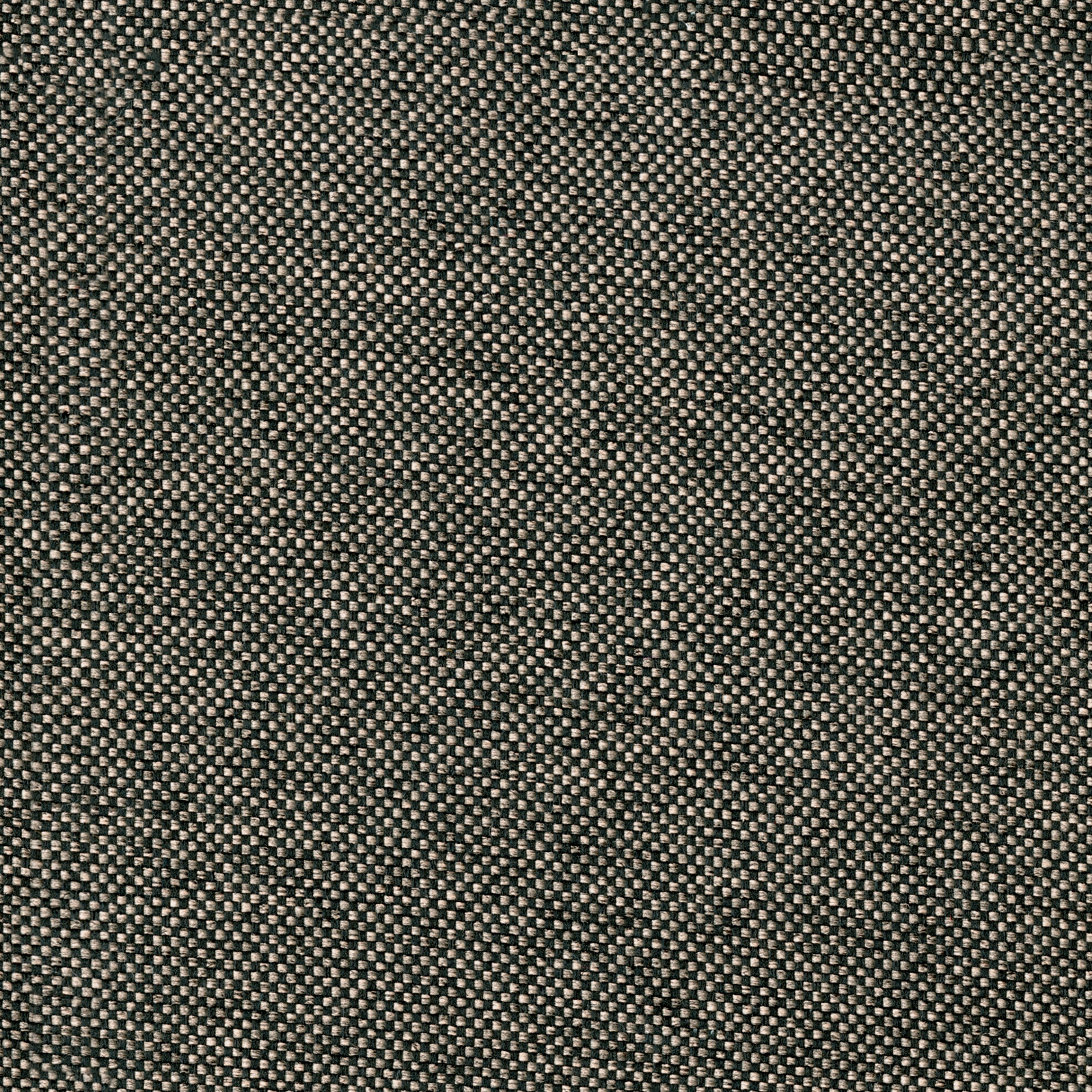 Rivet Twig