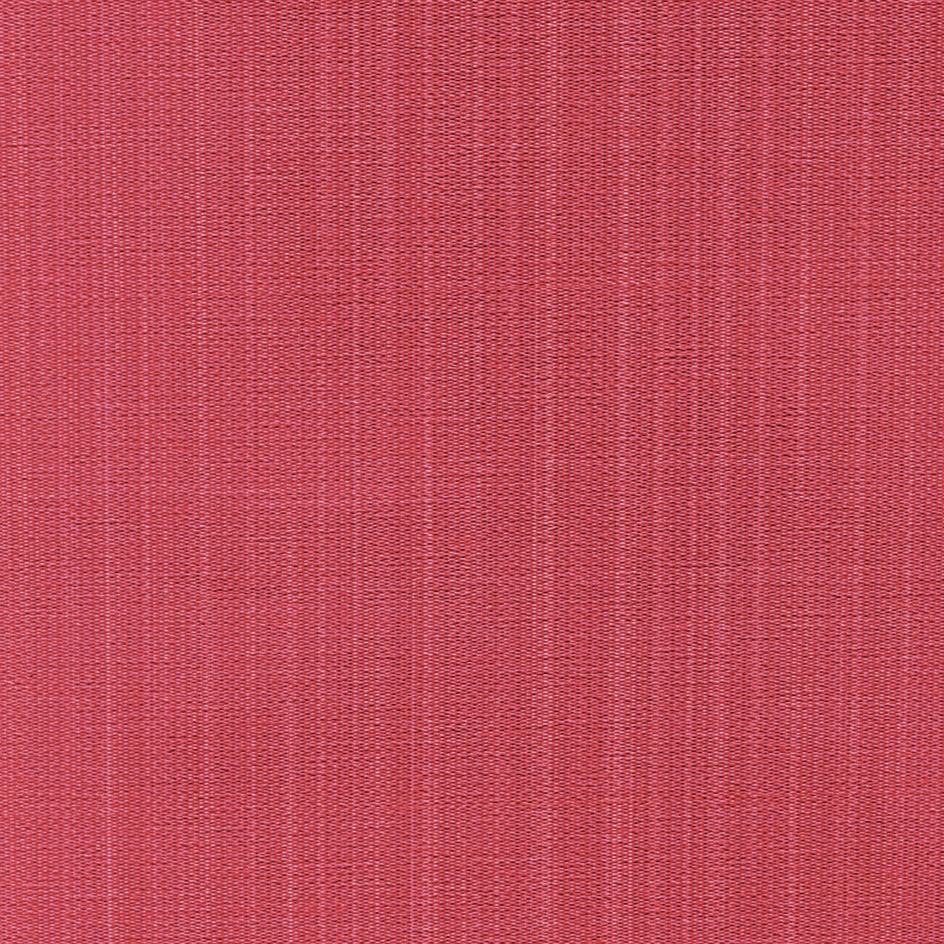 Manila Rosette