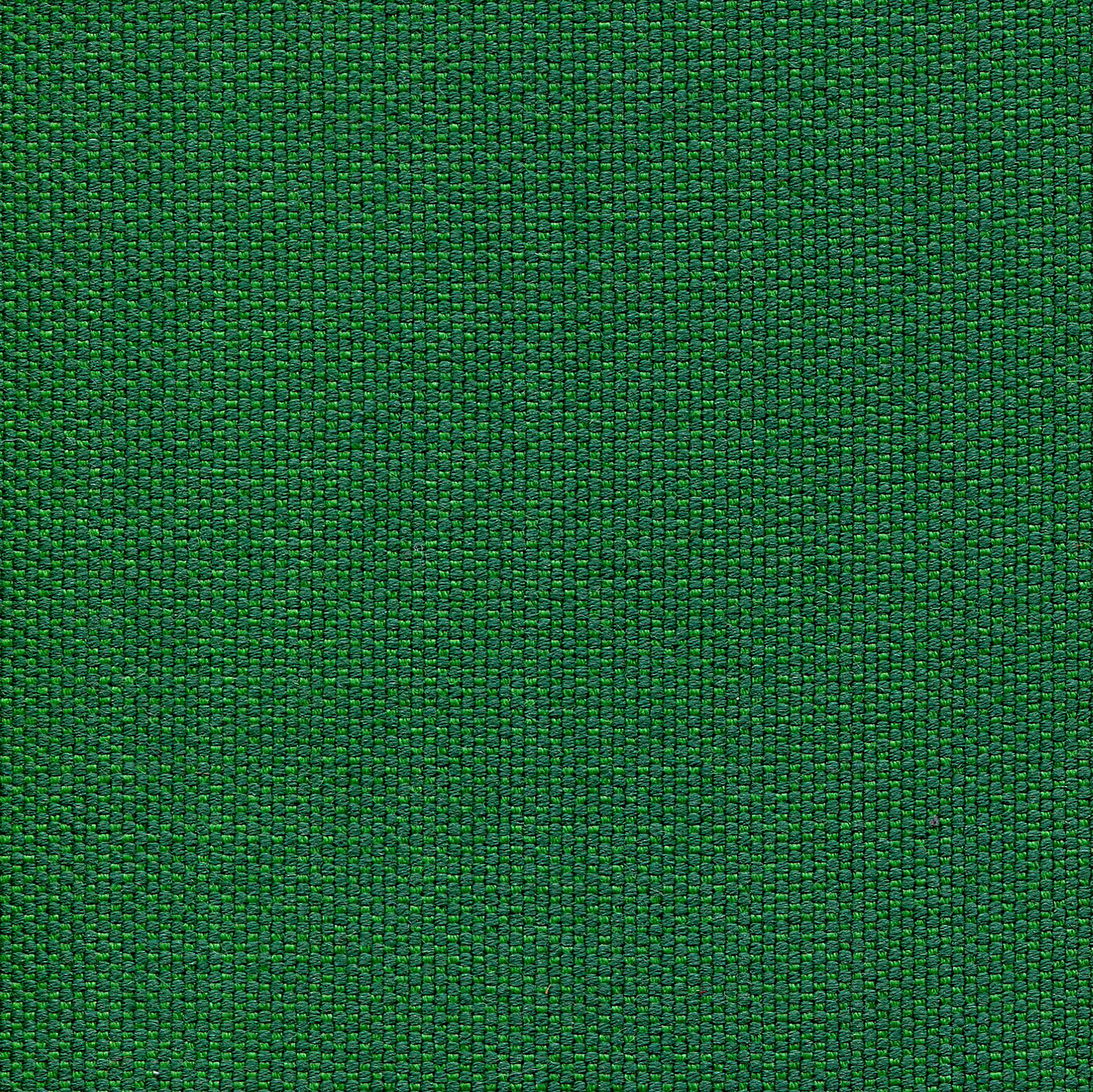 Camira Fabrics - Zap Argh