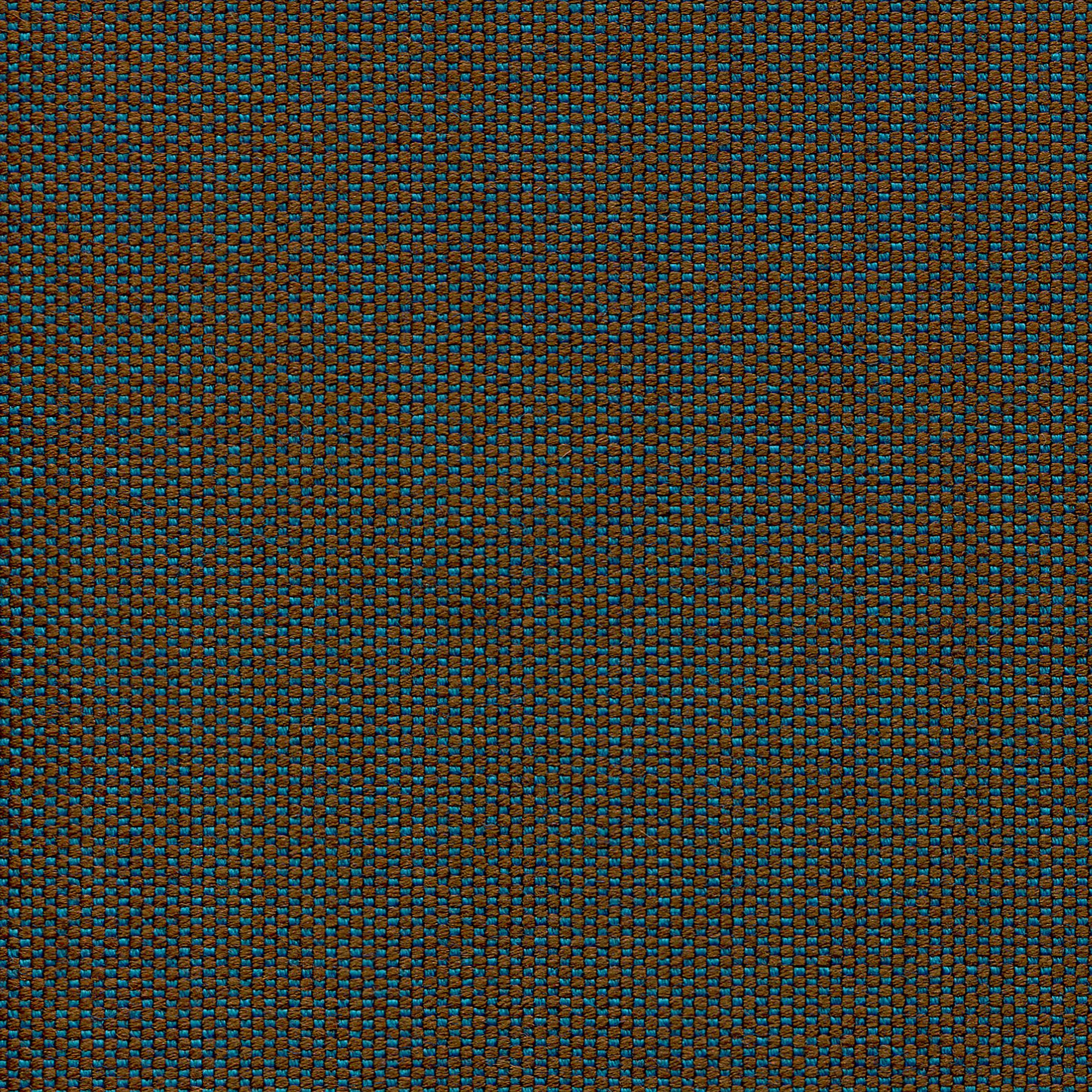 Zap Clang