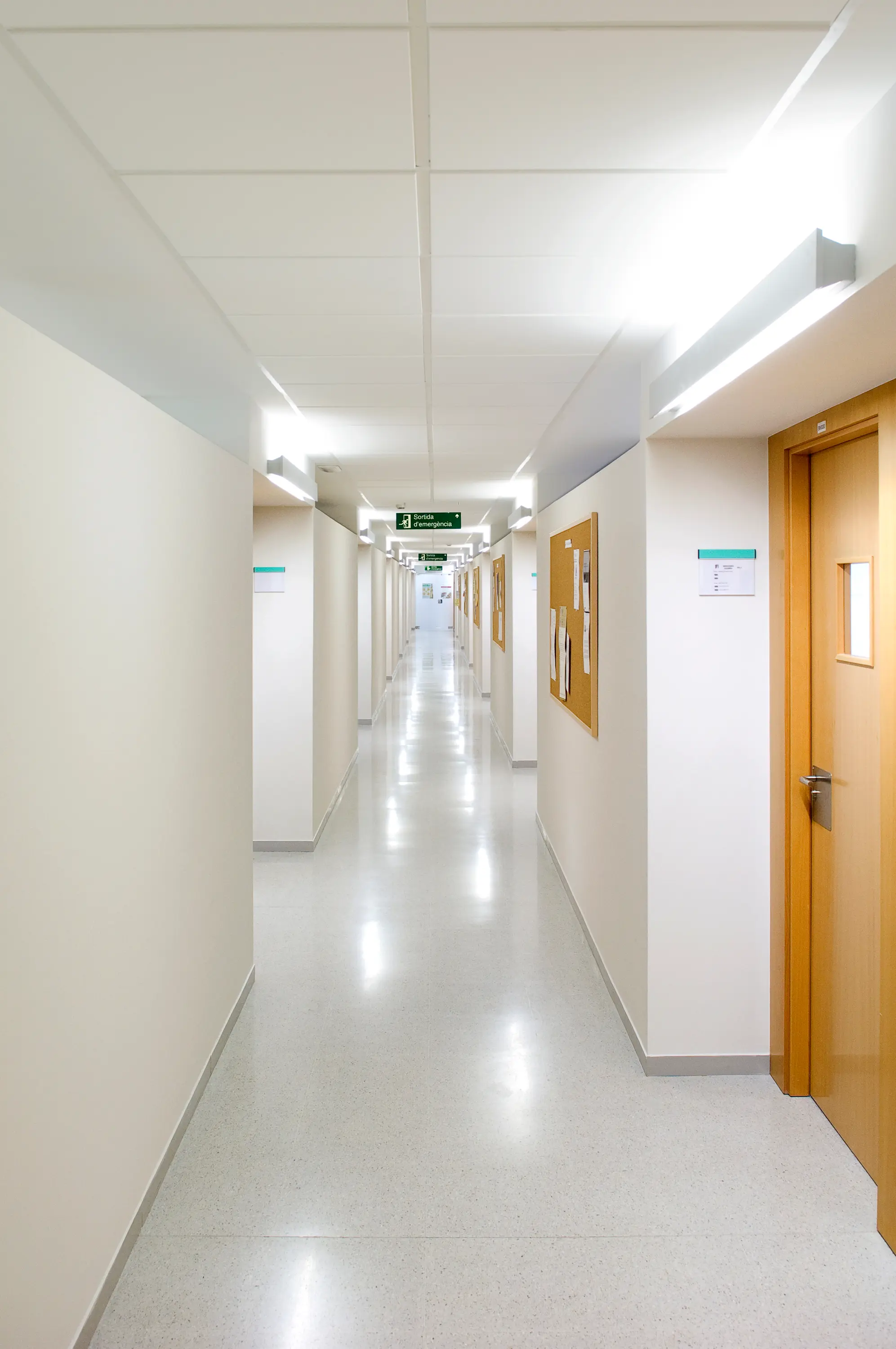 Lamp Lighting - Ambient Apliques