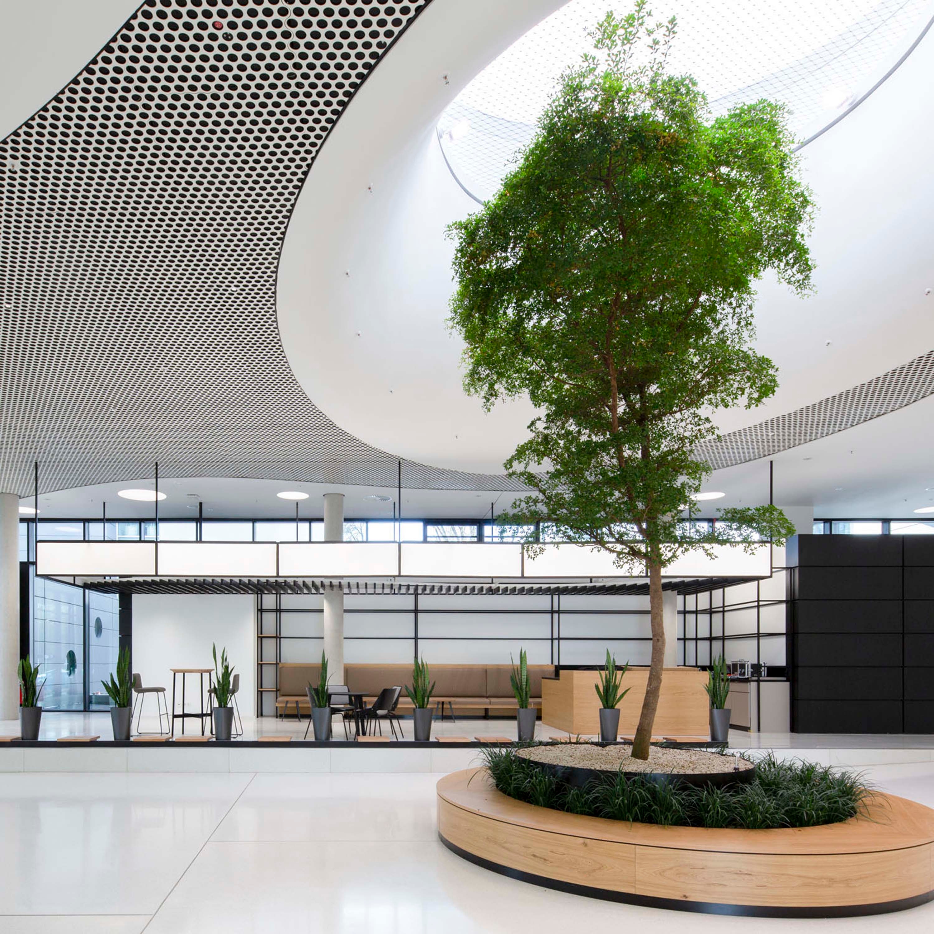 Display product Character Design Ceiling + Lighting | Loop + Punteo-J from manufacturer durlum